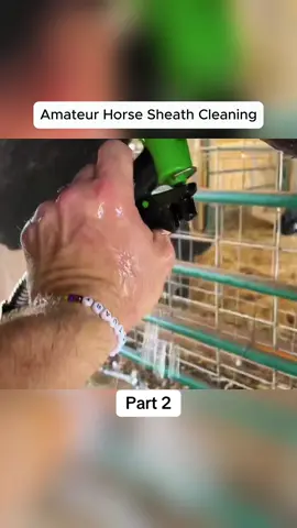 #horse,#vet,#pen,#horsemanship,#equine