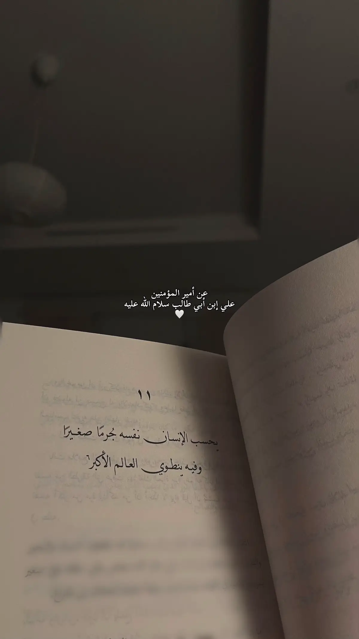 #الإمام_علي #313 #shiatali 