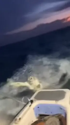 what is this serina?? 😱😱😱😱😱😱😱😱😱😱 #scary #mermaid #fishing #fishermen #boat 