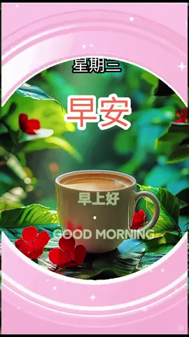 #早安吉祥♥️🍊♥️  2025/11/12 周三愉快🍀 平安🍎顺心🍏幸福🌻 Good morning 🧡☕🧡