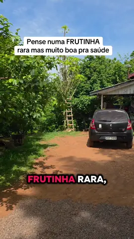 #sitio #plantas #quintal #frutas #saude 