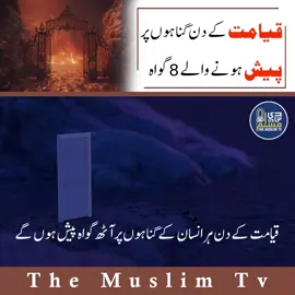 قیامت کے دن گناہوں پر پیش ہونے والے 8 گواہ #creatorsearchinsights  #foryou #islamicvideo  #fyp #foryoupage