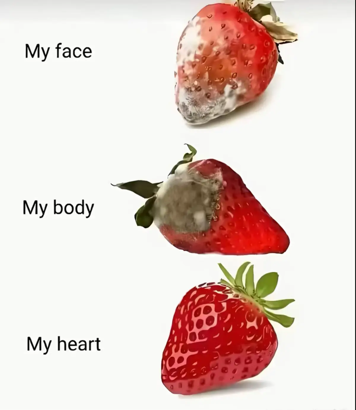 My Heart 🫶🏼❣️@Yoon Yoon🐾 #CapCut #fyp #fyyyyyyyyyyyyyyyy #fyppppppppppppppppppppppp #မဖလုတ်နဲ့ကွာ☹ 