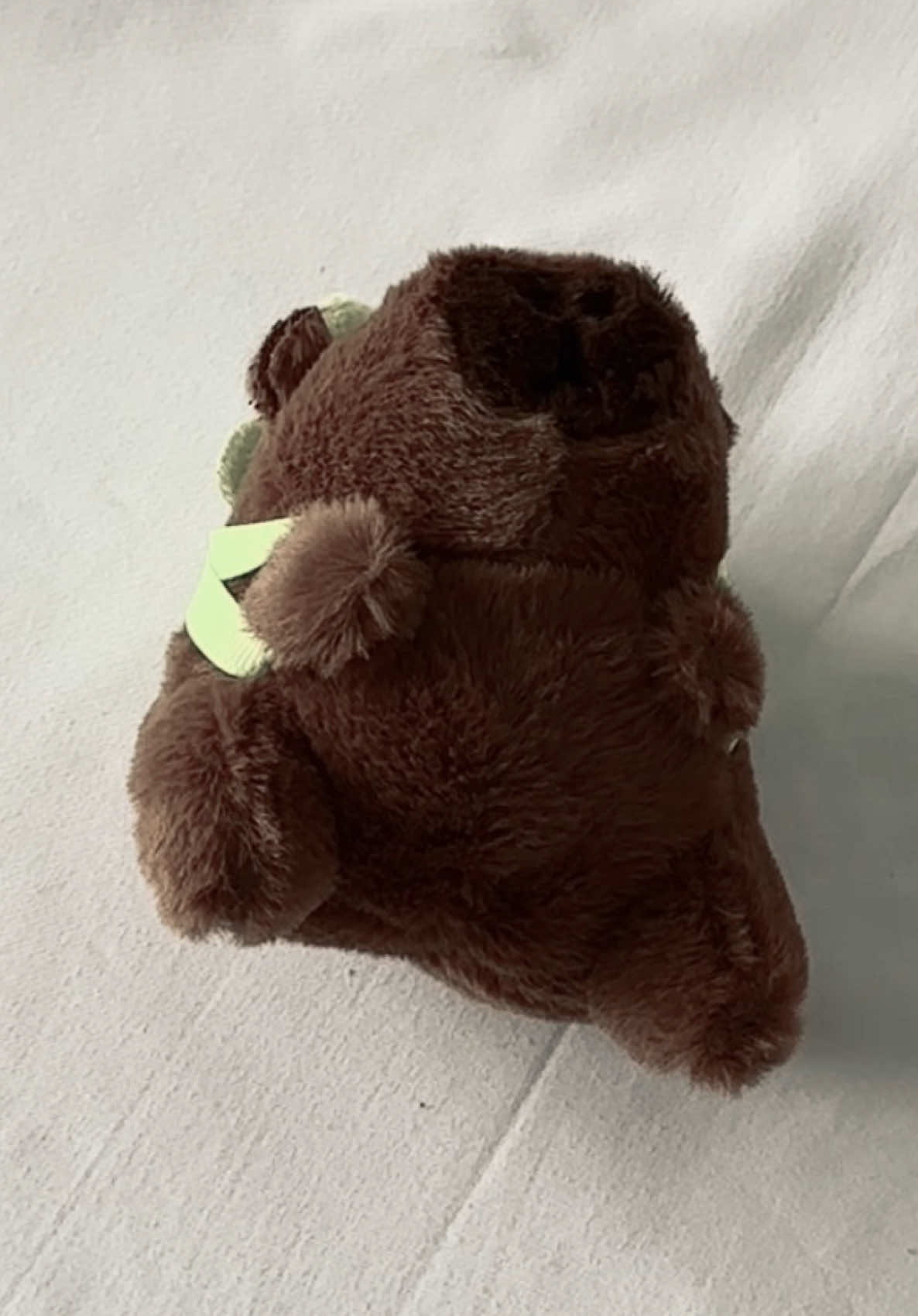 capybaras 🤩 #capybara #cutefinds #capybaraplush #keychain 