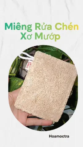 Xơ mướp Việt Nam - sống xanh sống sạch  #xomuop #ruachen #songxanh #nhacuadoisong 