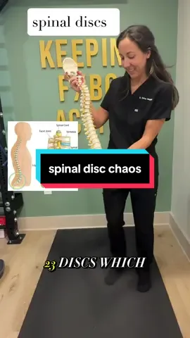 Disc bulge basics in 10 seconds✨  Tell me if you’ve dealt with a disc problem⤵️ #discbulge #sciatica #spinaldiscs #tiktokencylcopediacontest 