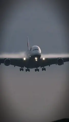 Saudi Arabia 🇸🇦🇸🇦🇸🇦🇸🇦🇸🇦🇸🇦🇸🇦 Riyadh 🇸🇦🇸🇦🇸🇦🇸🇦🇸🇦🇸🇦