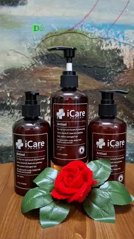 [TẶNG MIẾNG LÓT MỦ - CHỈ TRÊN LIVE] Combo 3 chai dầu gội sạch gàu Antisol icare pharma #daugoi #daugoitrigau #daugoitrinam #daugoiicare #icare 