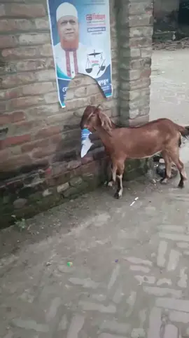 #আম_জনতার_দল #বি_এম_পি #friends #fllowers #bangladesh 