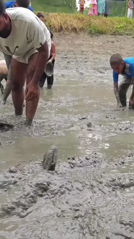 ចប់បរិបូណ៌