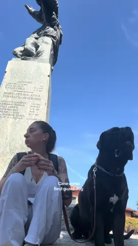 Cane corso miglior protettore 