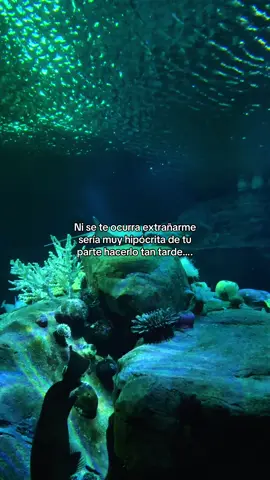 Cómo estás hoy bebé?  #mujereslatinas #aquarium #frasesdeamor #compartir #fyppppppppppppppppppppppp 