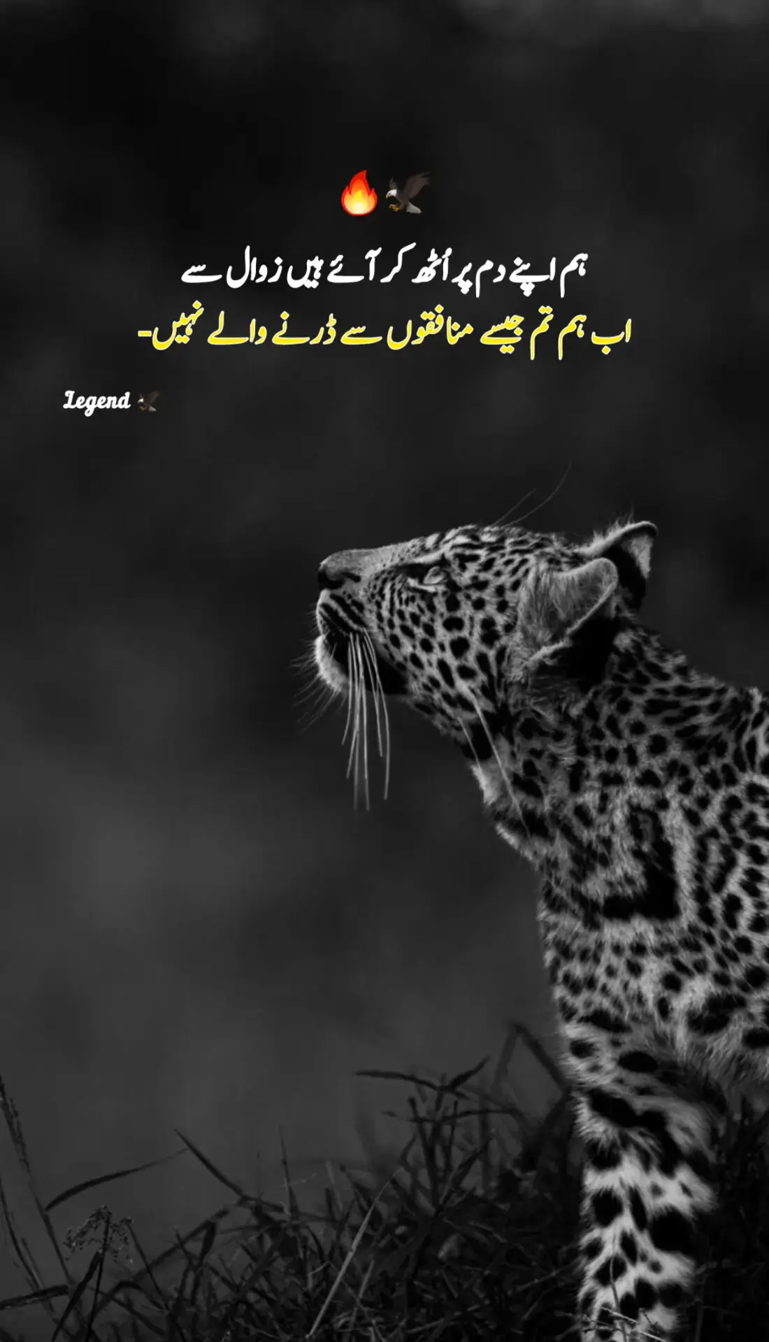 #fypシ #fyyyyyyyyyyyyyyyyyyy #foryouproblems💔😩 #onemillionaudition #creatorsearchinsights 