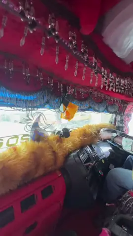 Istahil garabo chicken cadi maha😁