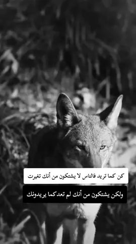 #fyp #F #f #شعب_الصيني_ماله_حل😂😂 #ابوني_ياك_باطل_ولا_حنا_مانستاهلوش 