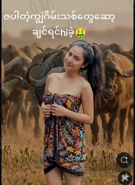 #vedio #သိသူဖော်စားမသိသူကျော်သွား #ကျွဲချစ်သူများအတွက်🥰🥰🥰 #ဆယ်လီမှအသဲပေးတာလား😔😑 