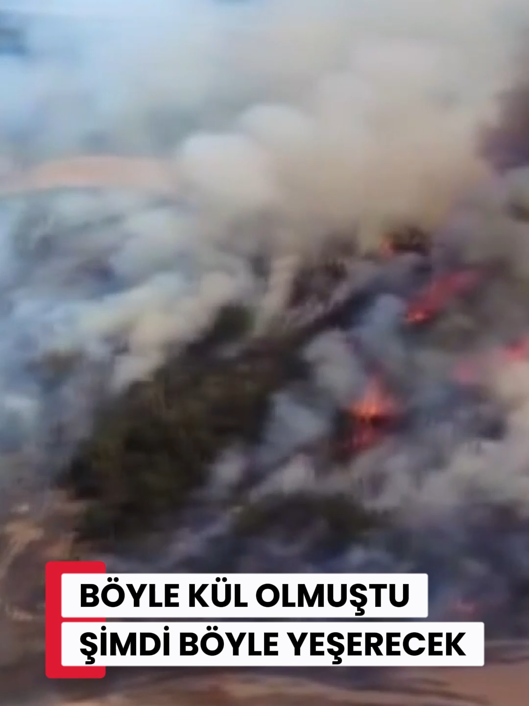 Bursa'nın Gürsu ilçesinde geçtiğimiz yaz yangınlarla küle dönen ormanlar, Milli Ağaçlandırma Günü etkinliğinde 7'den 70'e yoğun bir katılımla dikilen fidanlarla yeniden yeşerecek. #bursa #gürsu #ormanyangını #mustafaışık #milliağaçlandırmagünü