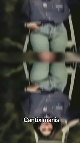 idolaku#idolaku #nikeardillafansclub #fans #nikeardilla #fyppppppppppppppppppppppp 