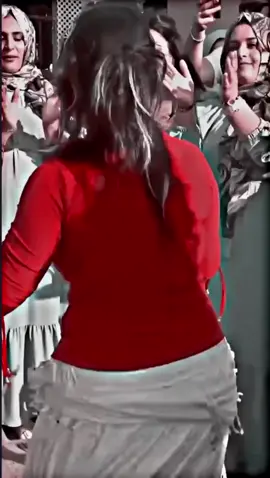 dhol dance desertsafari camp Romania 🇨🇵♥️💃🌹#fyp #viral #dancer #