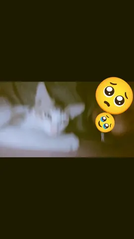 cute cat 🥹🫶