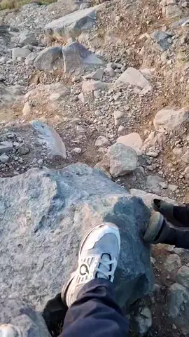 -2597mdpl #gunungtalang #hutanmati 