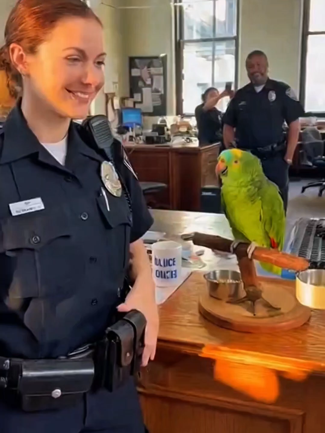 -Parrots Marriage Proposal -#tiktoker #fyp #tiktokviral #funnytiktok #cops