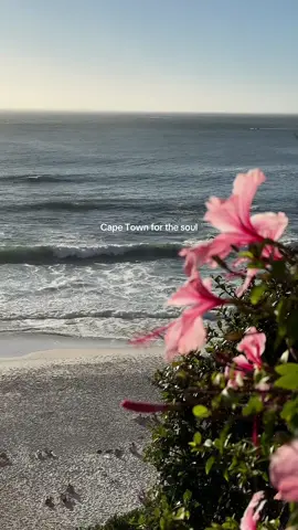 Cape Town is always a good idea 🌺🌞 don’t you think so? Planning a trip to Cape Town soon? Check out my Cape Town Travel Guide — packed with personal tips, a full itinerary (with exact location pins), 200+ spots, restaurant, cafés, hotel recs & more - link in bio 💌 Send this to someone you would love to take to Cape Town this summer 🤍 #capetown #capetowntravel #slowtravel #southafrica