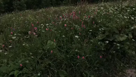 tattoo from loreen 🫧 آهنگ بعدی چی باشه؟  #fyp #foryou #loreen #lyrics  #lyricedits 