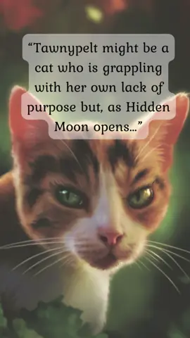 Read the full article on the Hub today 🐈🐈‍⬛ #warriorcats #warriors #books #BookTok #bookstagram #cats #erinhunterbooks #HiddenMoon #hiddenmoon #tawnypelt #tawnypeltwarriorcats