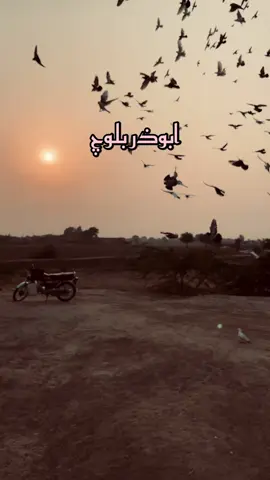 کتنا خاموش طبیعت ہے مرا سودائی  ورنہ ہونے کو تو ہوتی ہے بہت رسوائی کوئی کم یاب نمویاب ہوا منظر پر  کام آئی ہے بہت آج مری بینائی  مجھ کو محفل میں بھی آتا ہے اکیلا ہونا  اتنی مخلص ہے مرے ساتھ مری تنہائی جلتے رہنے سے گریزاں تو دیا تھا ہی نہیں  بس ہوا ہی اسے تسلیم نہیں کر پائی راستے یاد نہیں رہتے عموماً مجھ کو  ساتھ چلنے سے جھجکتی ہے مری پرچھائی کتنے مہمان ہیں جو دل میں جگہ چاہتے ہیں  کتنا بے بس ہے سرِ بزم مرا ہرجائی ہر طرف ہجر کے دھبے ہیں حقیقت میں شفق  پر خیالوں میں چمکتی ہے تری رعنائی عائشہ شفق #شاعری #اكسبلور #شوق #سرائیکی #تونسہ 