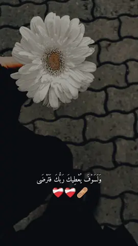 #CapCut #creatorsearchinsights #fypage #يارب #🤍 