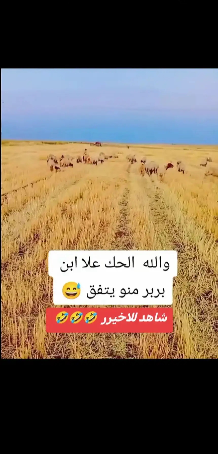 #شعب_الصيني_ماله_حل😂😂 #اعدت_نشر🔃 #لايك_متابعه_اكسبلور 