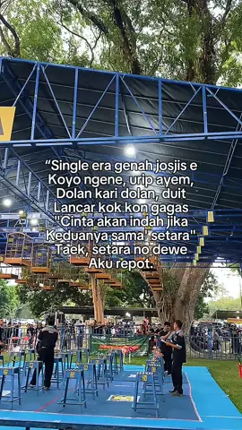 #CapCut  josjis pol  #fyppppppppppppppppppppppp #jogjaistimewa #jogjaistimewa #pialaraja 