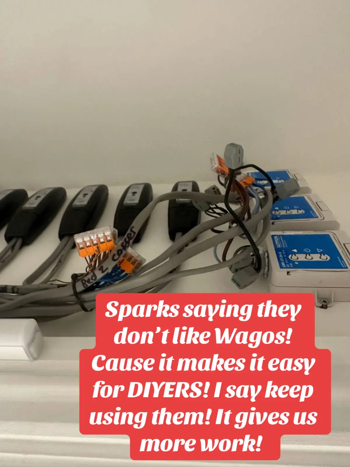 Listen up! DIYERS keep using them it gives us more rectification work. I personally love Wagos, but you still gotta be skilled at the trade to know how to use them correctly!! #DIY #Shit #Wagos #Electrical #electriciansoftiktok 