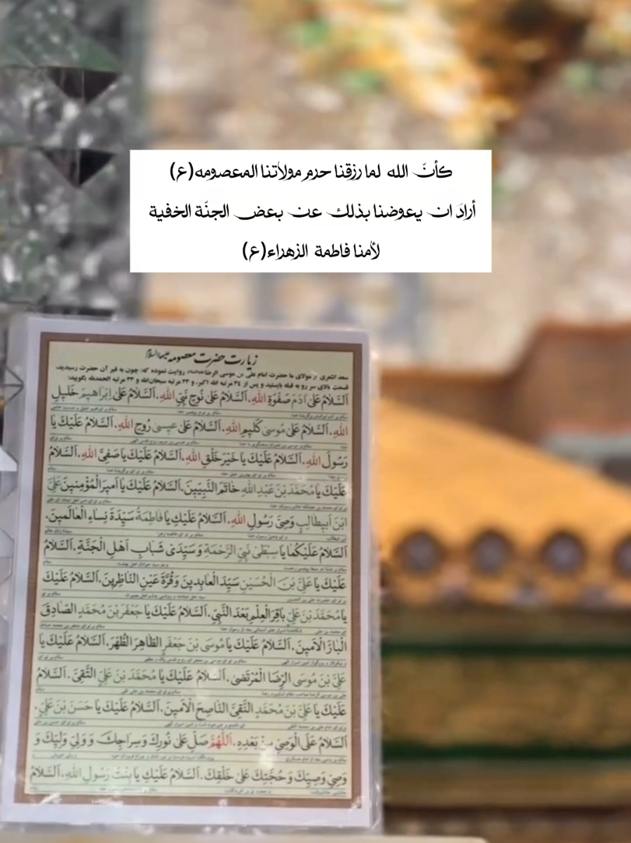 غُرباء وأنتِ وطن💔#حضرت_معصومه_س #يافاطمة_الزهراء_اشفعي_لي_في_الجنة #قم_المقدسه #يازهراء #رضا_جان 