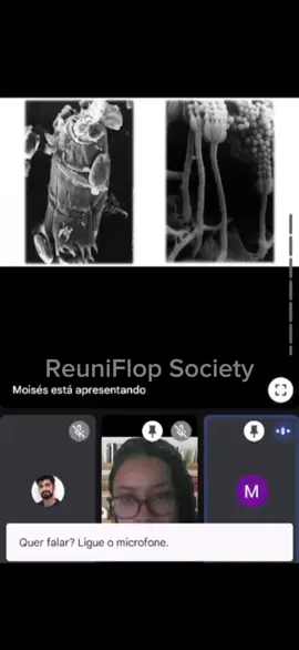 Luísa como asssim #fyp #reels #meet #viraltiktok #meetinvasao