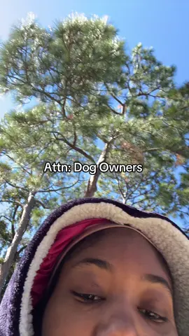 Don’t mind her hotspot the vet had to shave her down due to the neighbors dog & their fleas💔🥲