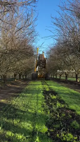 Amazing work Factories #satisfying #amazing #fpy #asmr #oddlysatisfying 