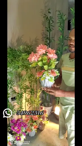 #mauritius #mru🇲🇺 #mauritius #fyp #viral Order on WhatsApp 54962316 DELIVERY AVAILABLE 