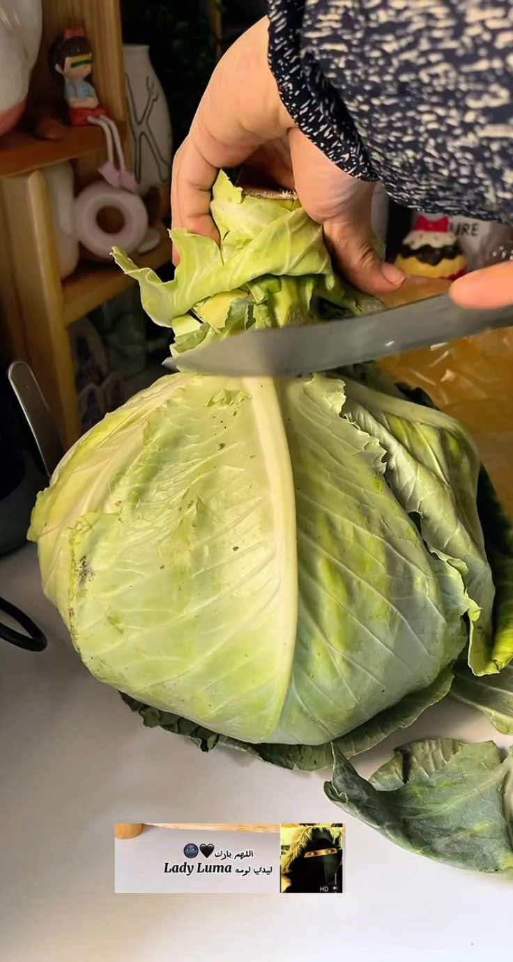 طول عمرنا بنلف المحشي غلط‼️لفيه بسرعة الصاروخ وبدون سلق #محشي_ملفوف #ليدي_لومه #الشيف 