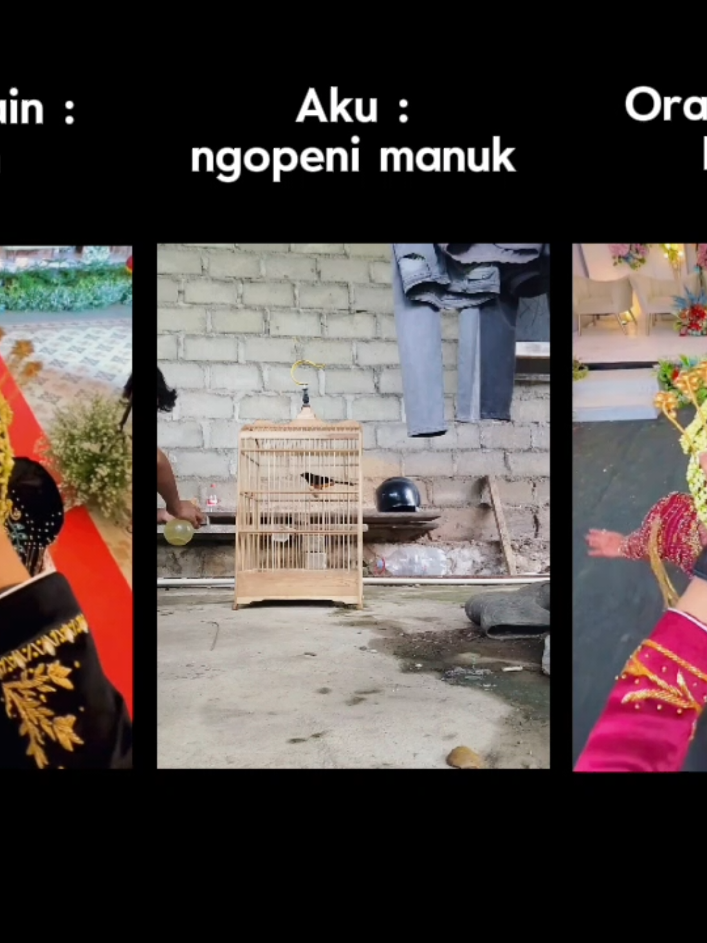 maapin sayang😄 #CapCut #muraibatuindonesia #kicaumaniaindonesia #kicaumania #muraibatu @favaaaa 