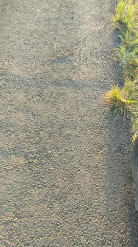 #jawapride #mencintaidenganngeyel #fyp #majalengka #sunset 