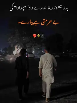 #foryoupage بدلہ چھوڑ دینا ہمارے دادا 