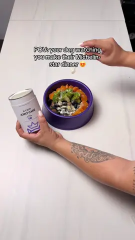 Made my dog’s dinner like it’s a Michelin-star meal again 🙈 KRWN on top because… prevention > cure 🦴💜 . . . #DogWellness #PetParentLife #KRWN #PetSupplements #HealthyPets