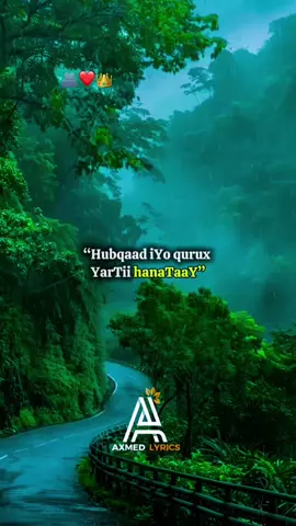 Part 1#ahmet_lyrics #tiktok #capcut #bilaamusic 