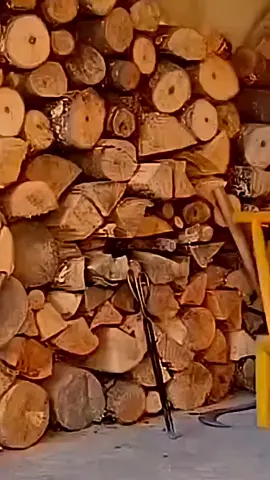 Inovasi Unik Untuk Bertahan Di Musim Dingin #china #viralvideo #fyppppppppppppppppppppppp 