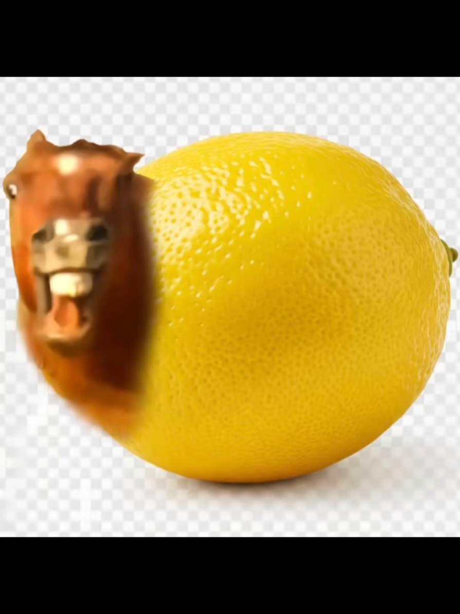 #edit #xyzbca #roblox #юморсмешно 