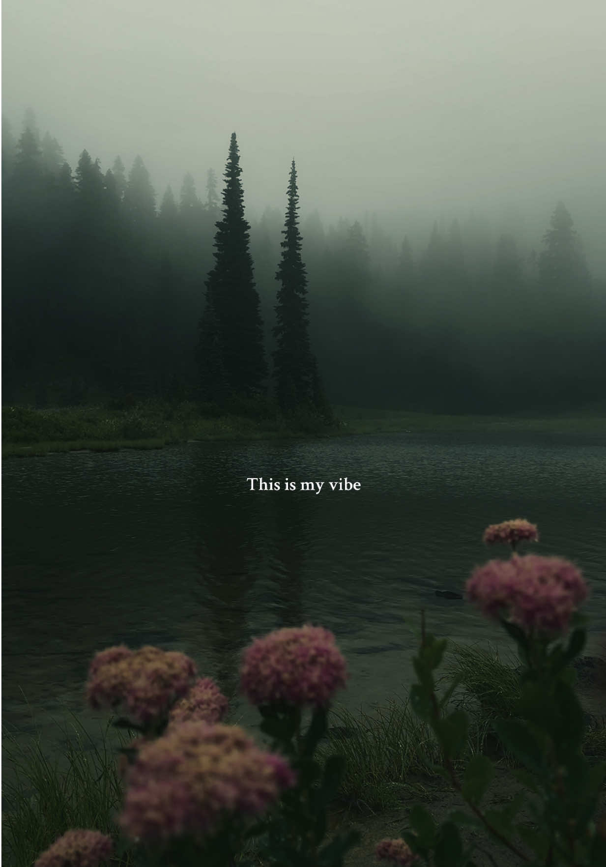 This is my vibe 🖤