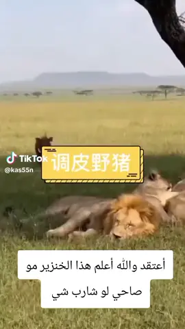 #متابعيين #🤣😁😁😂😂😜🤣😄 