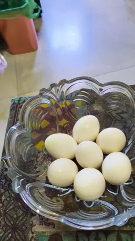 o segredo é a resistência de todos os dias 🙏